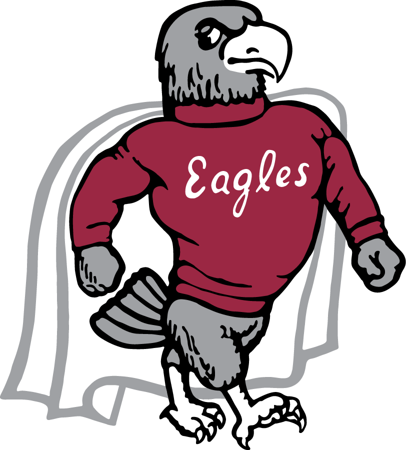 NCCU Eagles 1969-1987 Primary Logo diy DTF decal sticker